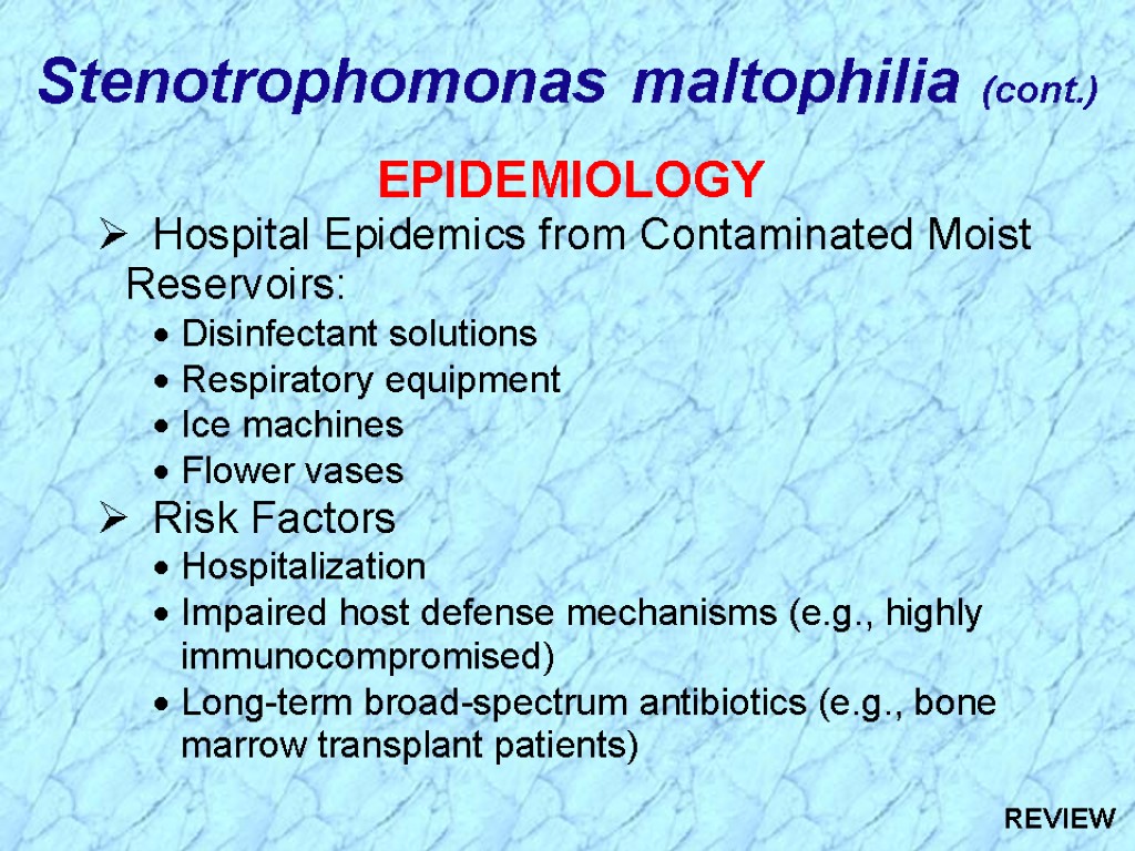 Stenotrophomonas maltophilia (cont.) REVIEW
